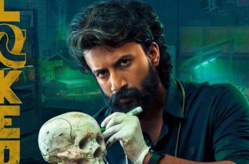 Can You Suggest Some of the Best Telugu Web Series to Watch on Aha?