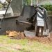 Miller’s Tree Service Safe Tree Trimming and Removal Solutions