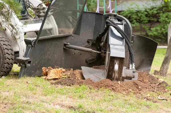 Miller’s Tree Service Safe Tree Trimming and Removal Solutions