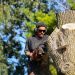 Complete Outdoor Maintenance from Sindt Tree Service of Auburn