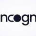 Incogni Pricing 2026 Which Plan Offers the Best Value for Your Needs