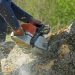 Reliable Tree Service Auburn with Fast Response Times