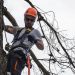 Affordable The Tree Guys Services in Jackson MI for Residential & Commercial Properties