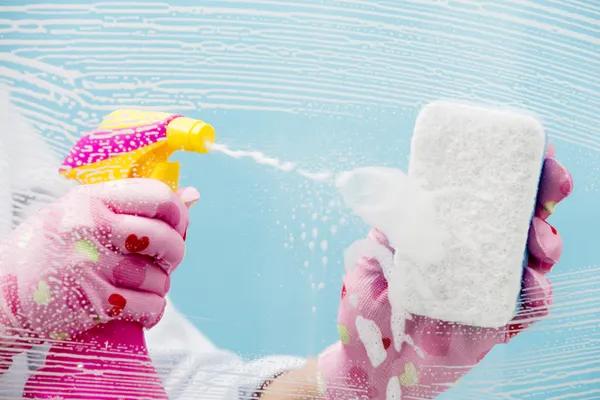 Expert Window Washing Solutions in Plano