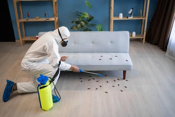 Patriot Pest Control for Professional Pest Removal