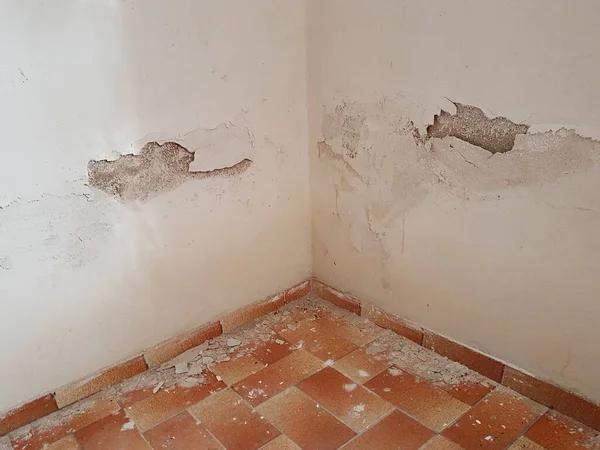 Emergency Water Damage Restoration in Mesa