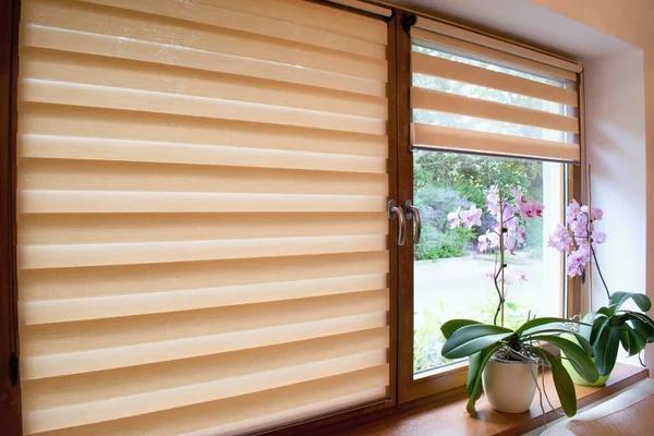 Find the Right Blinds Southampton for Your Windows