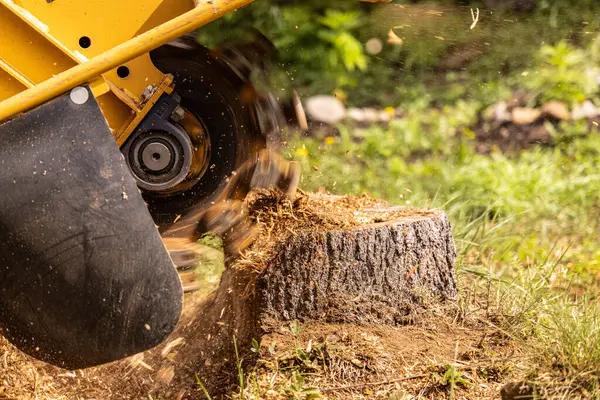 Wiese Tree Service LLC Mobile Tree Removal Experts