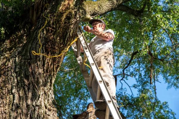 Reliable Tree Removal Company Near Me for Safe Tree Removal